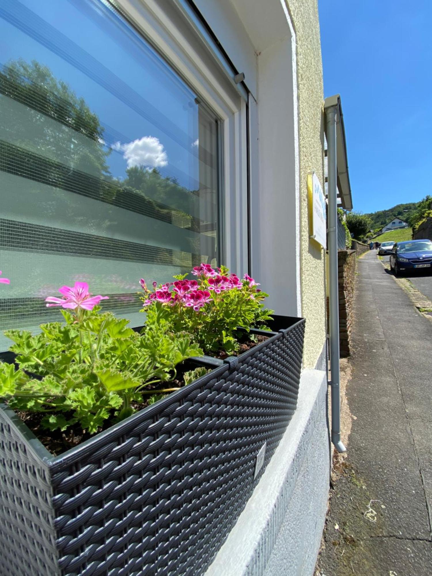 "Haus Bella" Cochem Exterior foto